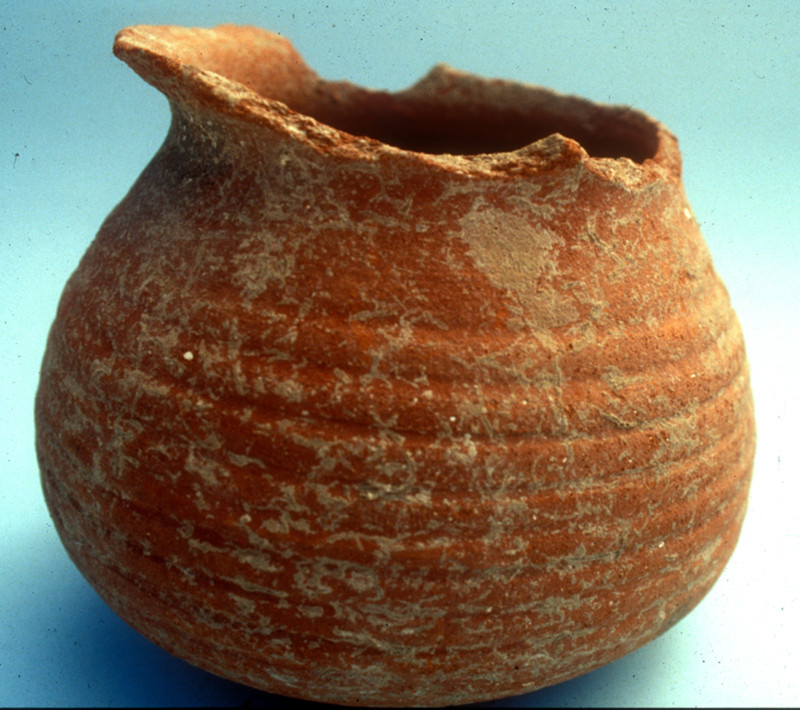 Akko Sandy Cooking Ware cooking pot from Tel Kedesh, Israel – spot it on the ware page shown in fig. 6! Photo by author. Courtesy of the Tel Kedesh Excavations.