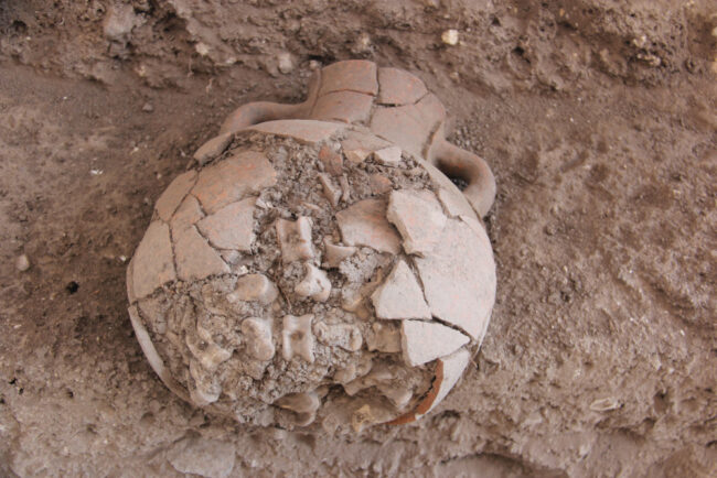 Iron Age IIA amphora containing hoard of astragali. Photography by Robert Mullins.