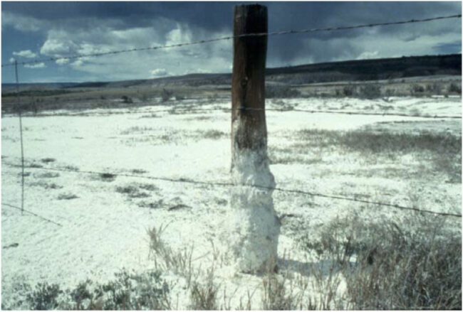 “Let the black fields become white.” An example from Colorado. Image courtesy of USDA. Public Domain.
