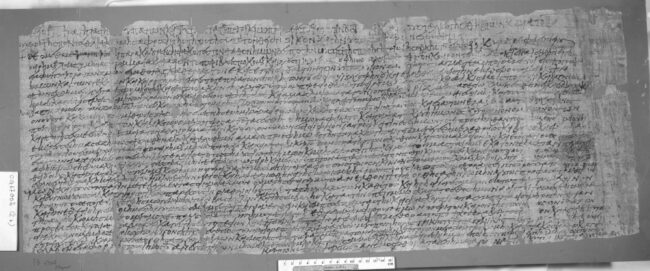 Petition of the inhabitants of Aphrodito to Fl. Marianos, against the actions of Menas, pagarch of Antaiopolis, and his employees. P.Cair.Masp. 1 67002.