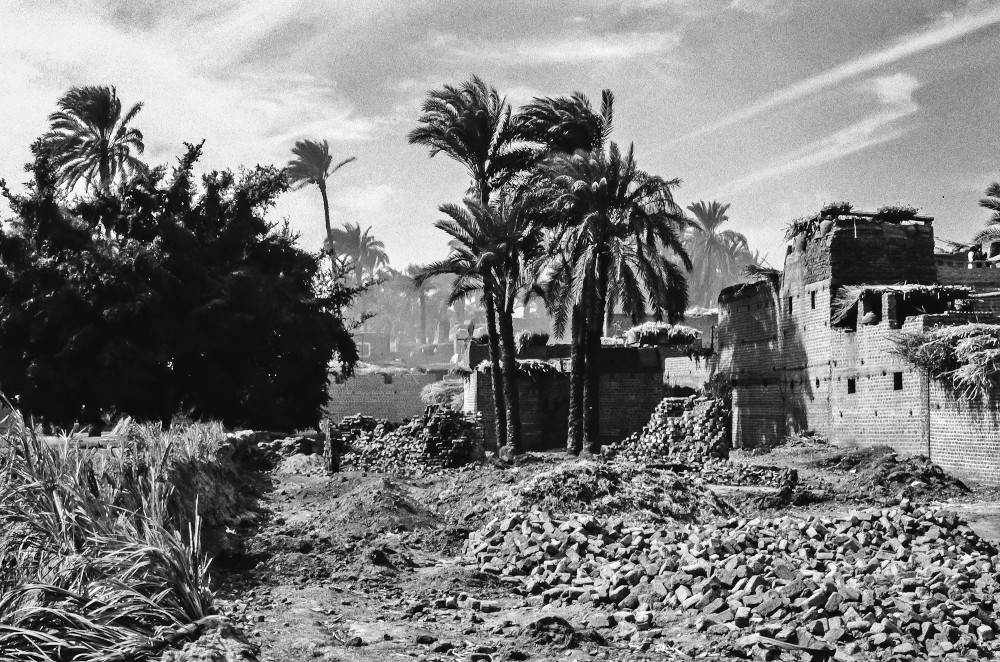 The Egyptian village of Kom Ishqaw. Photograph by Clement Kuehn. Used by permission.