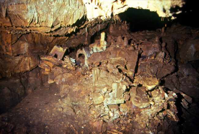 Interior of the cave showing the remains. Image courtesy of Dina Shalem