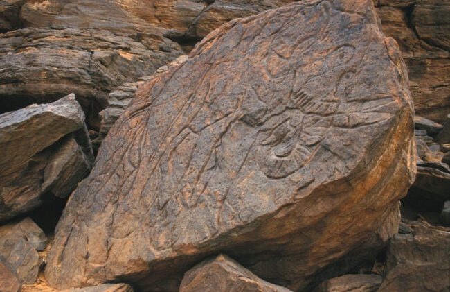 Elephant carved on an isolated large sandstone boulder (Bedis, Messak Settafet, © Sapienza University of Rome)