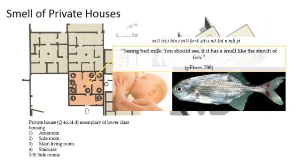 Smell of lower-class private house