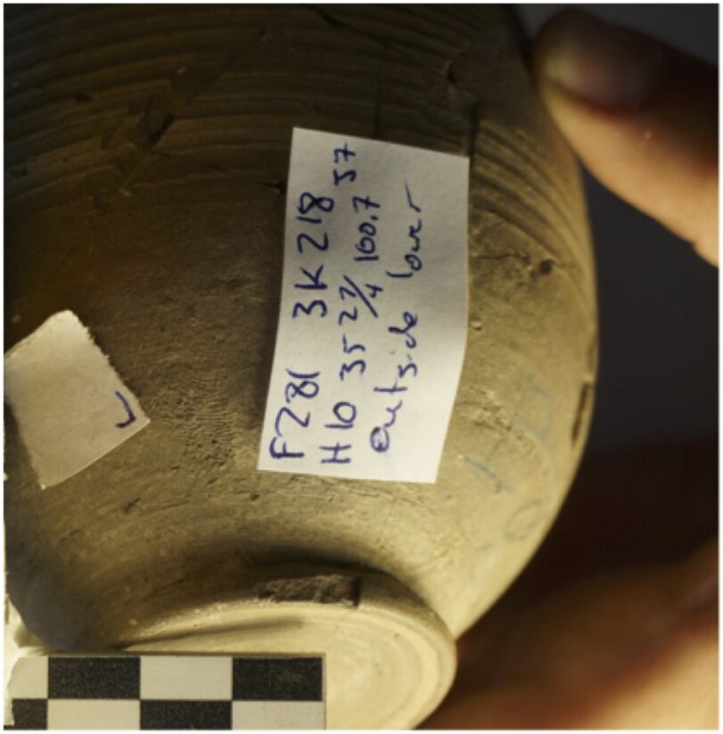 Fingerprint found! Photo by A. Sanders.