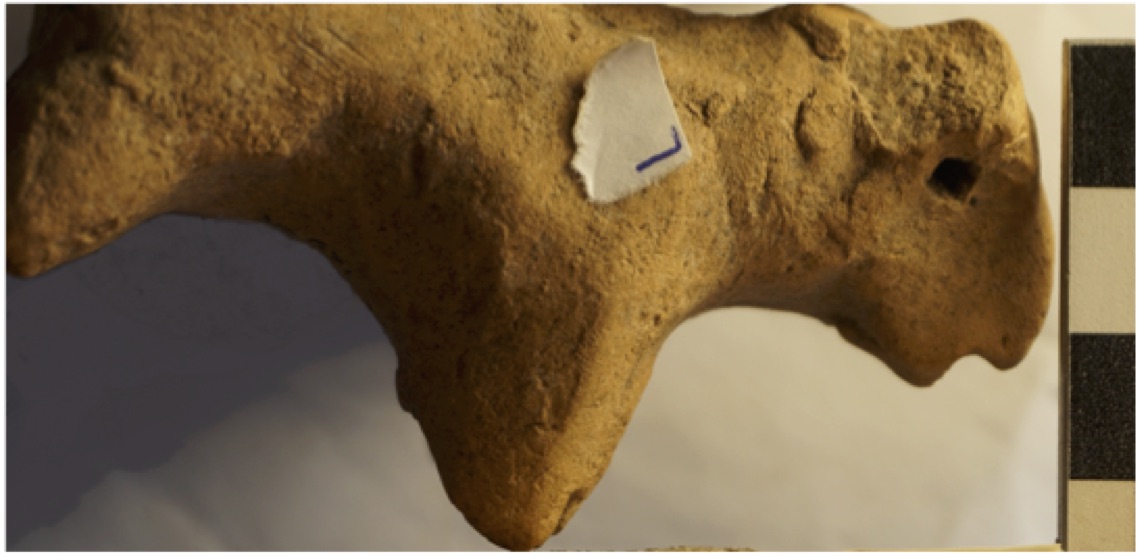 A fingerprint found on a figurine. Photo by A. Sanders.