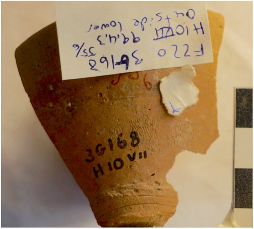 A fingerprint found on a Hama Period J goblet. Photo by A. Sanders.