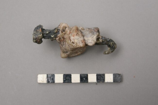 Right calcaneum, after reconstruction. Courtesy of the Israel Exploration Society.