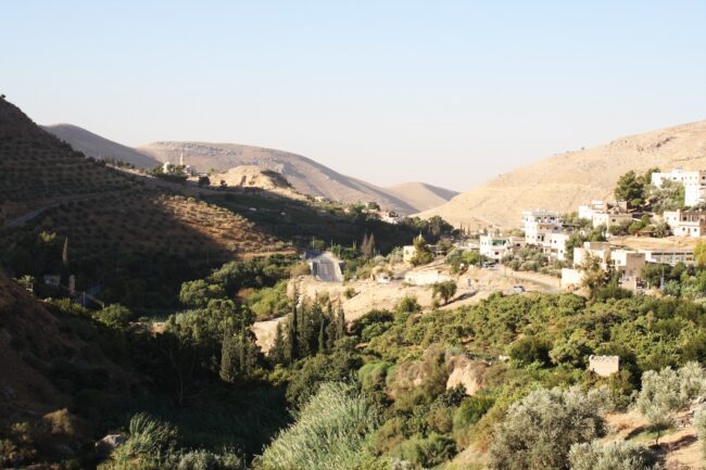 The upper reaches of the wadi feature a number of natural aquifers that provide water for agricultural use. Photo by A. Ahrens.