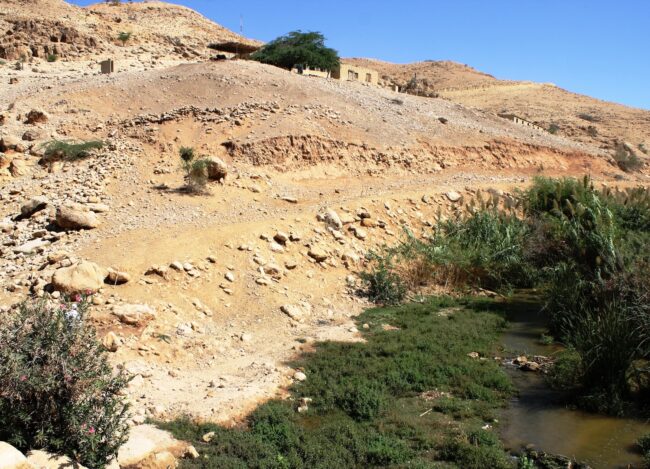 The site of Khirbet al-Jisr al-Khashab, a PPNA site dating to c. 10,000 BCE. Photo by A. Ahrens.