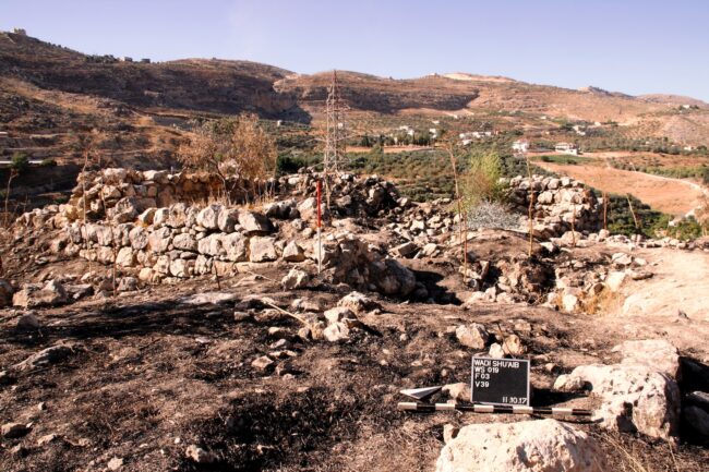 A rural farmstead located in the northern part of the wadi, dating to the Byzantine and Mamluk periods. Photo by A. Ahrens.