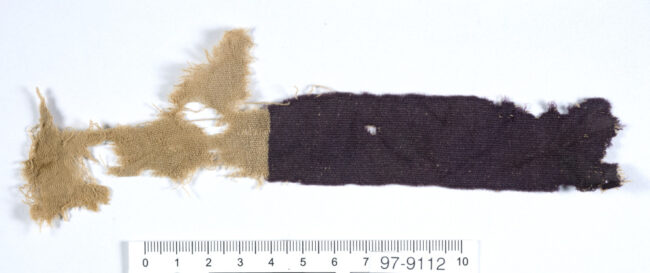 Textile fragment with purple band made by double dyeing with kermes insects and indigo to imitate the ‘true purple’ (Photo by Clara Amit, Courtesy of the Israel Antiquities Authority)