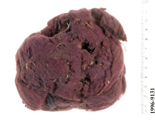 The purple fleece made by double dyeing with Madder and Indigotin to imitate the True Purple. The cave of Letters, Israel, Roman period (Photo by Clara Amit, Courtesy of the Israel Antiquities Authority)