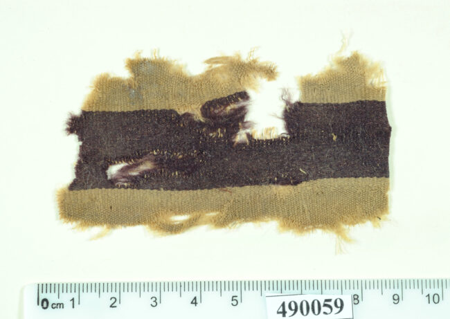 Textile fragment with purple band dyed using vegetal indigotin and madder in a double dyeing method. Murabba’at cave, Roman period (Photo by Clara Amit, Courtesy of the Israel Antiquities Authority)