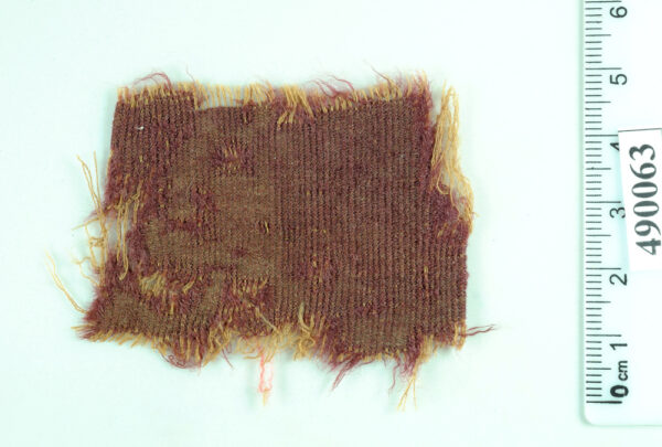 Fragment of purple textile dyed with true purple that produced from murex snail and Cochineal insects. Wool, Murabba’at caves, Roman period (Photo by Clara Amit, Courtesy of the Israel Antiquities Authority)