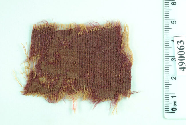 Fragment of purple textile dyed with true purple that produced from murex snail and Cochineal insects. Wool, Murabba’at caves, Roman period (Photo by Clara Amit, Courtesy of the Israel Antiquities Authority)