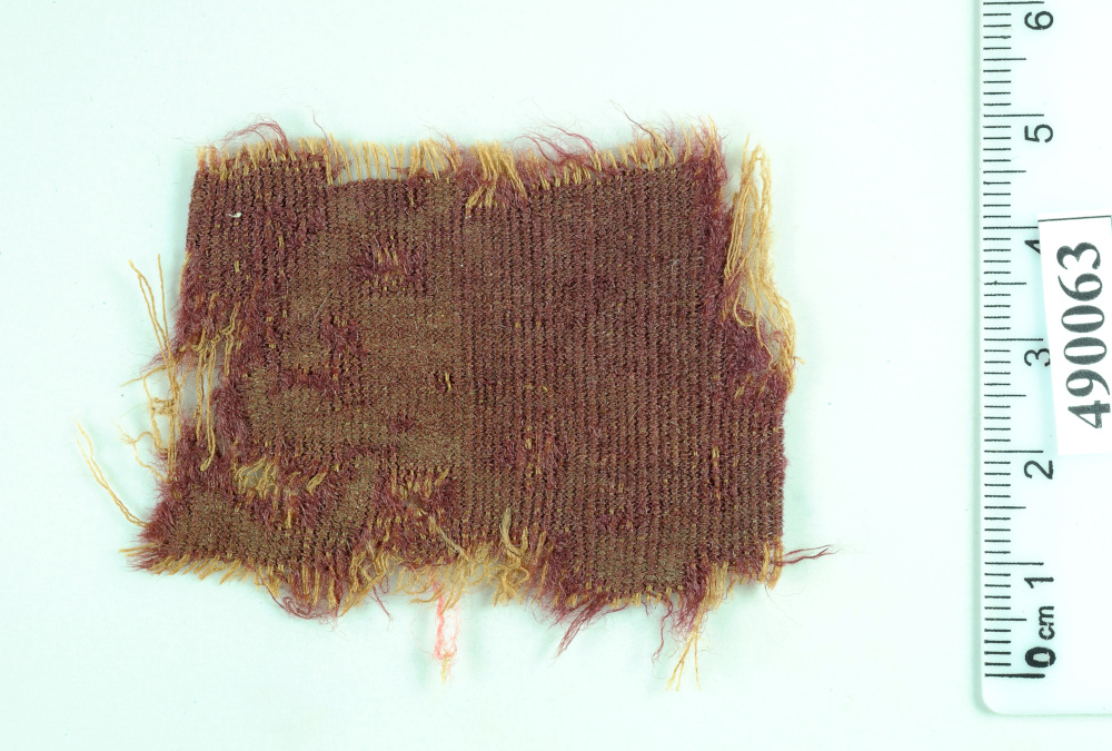 Fragment of purple textile dyed with true purple that produced from murex snail and Cochineal insects. Wool, Murabba’at caves, Roman period (Photo by Clara Amit, Courtesy of the Israel Antiquities Authority)