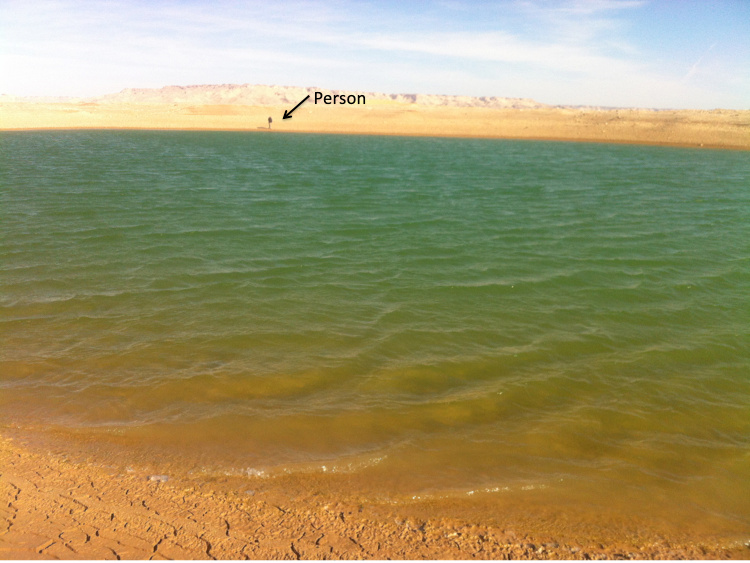 Saharan lake after rain in January 2013. Photo courtesy of the author.