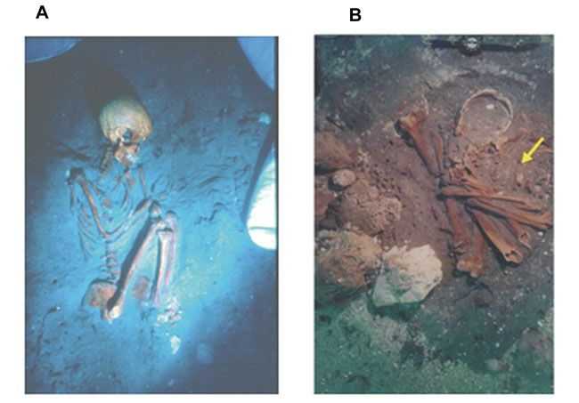 Skeletons of a Neolithic woman and child with tuberculosis from the submerged cemetery of Atlit Yam, Israel. Photo courtesy of Tel Aviv University.