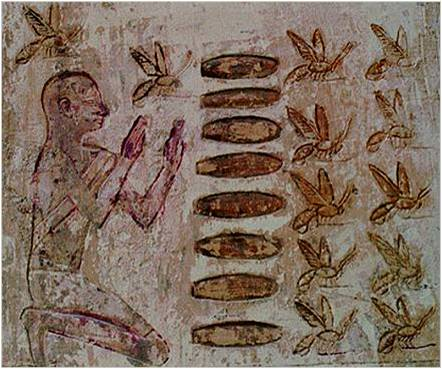 Prehistoric bas-relief of a beekeeper harvesting honey, form Egyptian tomb, Pabasa, 7th-6th century BCE. Phto by John-Andrew Ginsbury via Wikimedia. Public Domain.