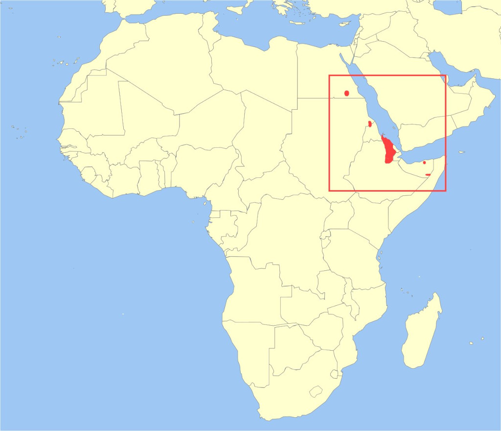 Map showing distribution of wild E. africanus spp. in East Africa (shaded red areas). Image by Oona Räisänen & IUCN, CC by-SA 3.0.