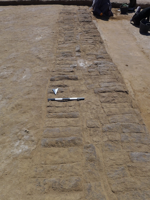 Excavation trench at the city wall that revealed that mud bricks are composed by ancient pottery instead of burned brick as previously assumed and interpreted from our magnetometer measurements. Courtesy of Jörg W.E. Fassbinder.