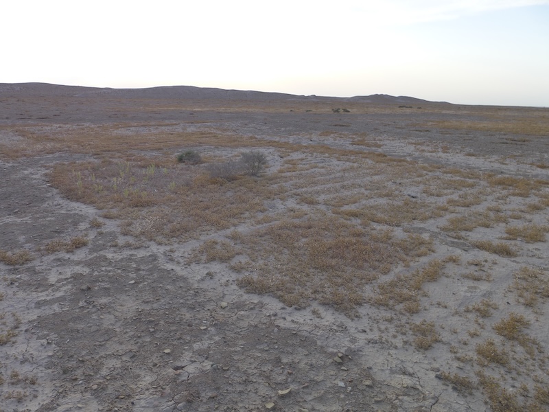 Traces of the ancient gardens in the northern part of the city became visible after heavy rain in February 2019. Courtesy of Jörg W.E. Fassbinder.