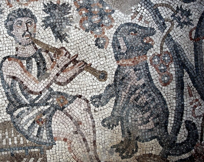 Collared dog (dancing?) and musician (owner) represented in the Kyrie Maria Monastery mosaic at Beth She‘an (Scythopolis) (photo: Walid Atrash, courtesy of the IAA).