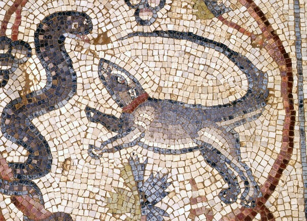 Collared mongoose fighting snake as depicted in the mosaic at Sede Nahum (photo: Ricky Hershler).
