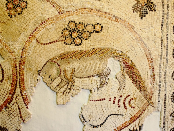Mongoose depicted in the mosaic at Horvat Beʼer Shemaʻ. The figure is badly damaged, however, due to the collar the creature wears and the combat stance in which it is represented, it seems reasonable that it was depicted while confronting a snake (photo: Nachshon Sneh, courtesy of Yeshayiahu Lender).