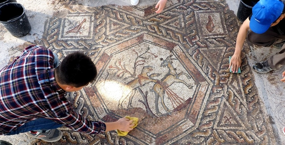 Cheetah restrained by a harness in a hunting scene in the Lod Mosaic, shortly after the discovery of the mosaic and during its cleaning (photo: Amir Gorzalczany, courtesy of the IAA).