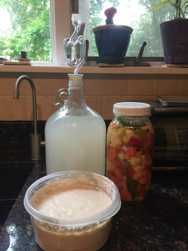The ginger beer was bottled shortly after this photograph was taken. It was disappointingly flat. The giardiniera was transferred to smaller containers and was delightfully crunchy. The sourdough starter stank up the kitchen but ended up in bread, pancakes, and pizza. Photo by the author