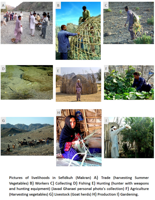 Examples of local crafts and industries. Courtesy of Hossein Vahedi.