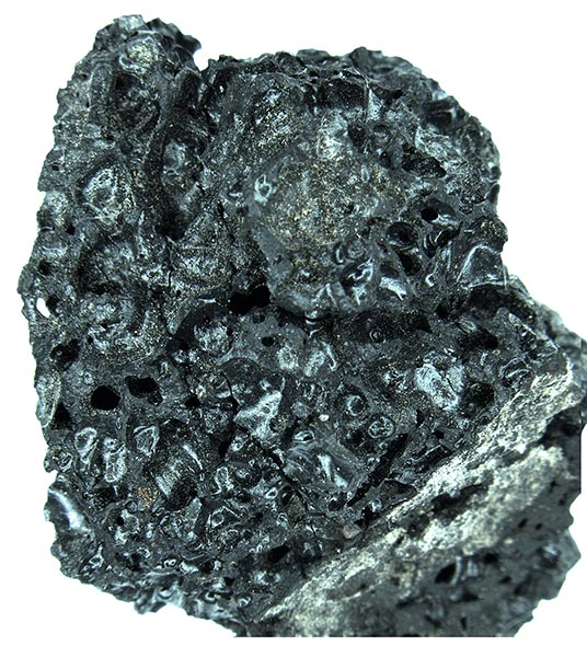 Vitrified charcoal. © P. P. Petrone.