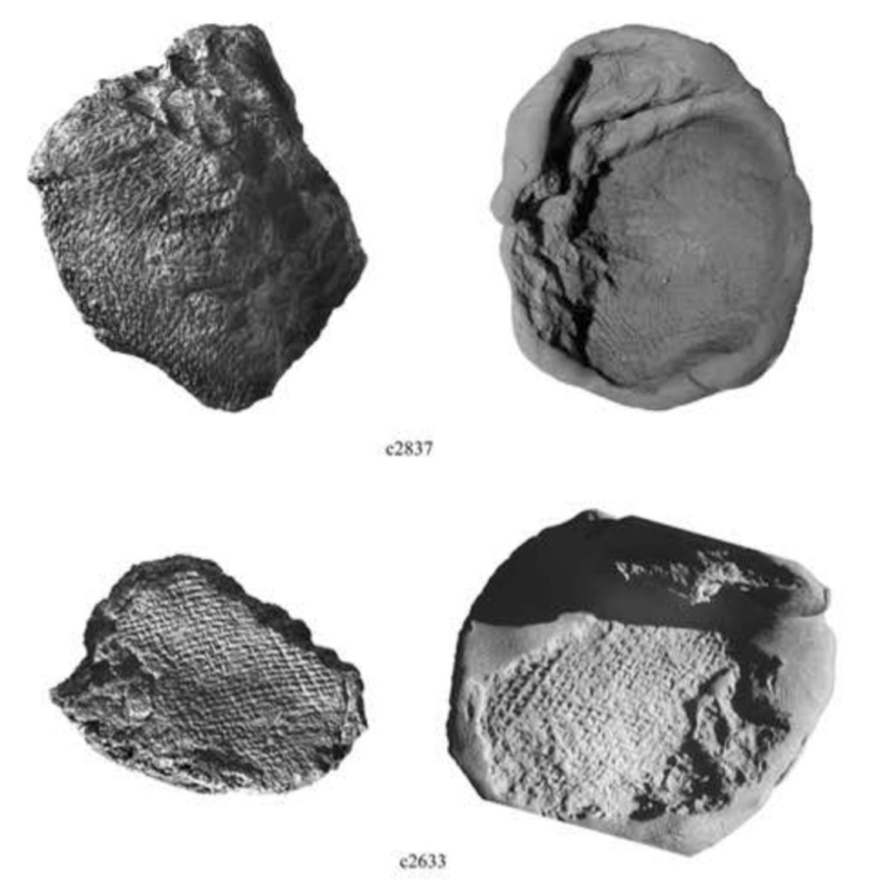 Cretulae with textile impressions from Arslan Tepe (https://archeorient.hypotheses.org/7296, fig. 10).