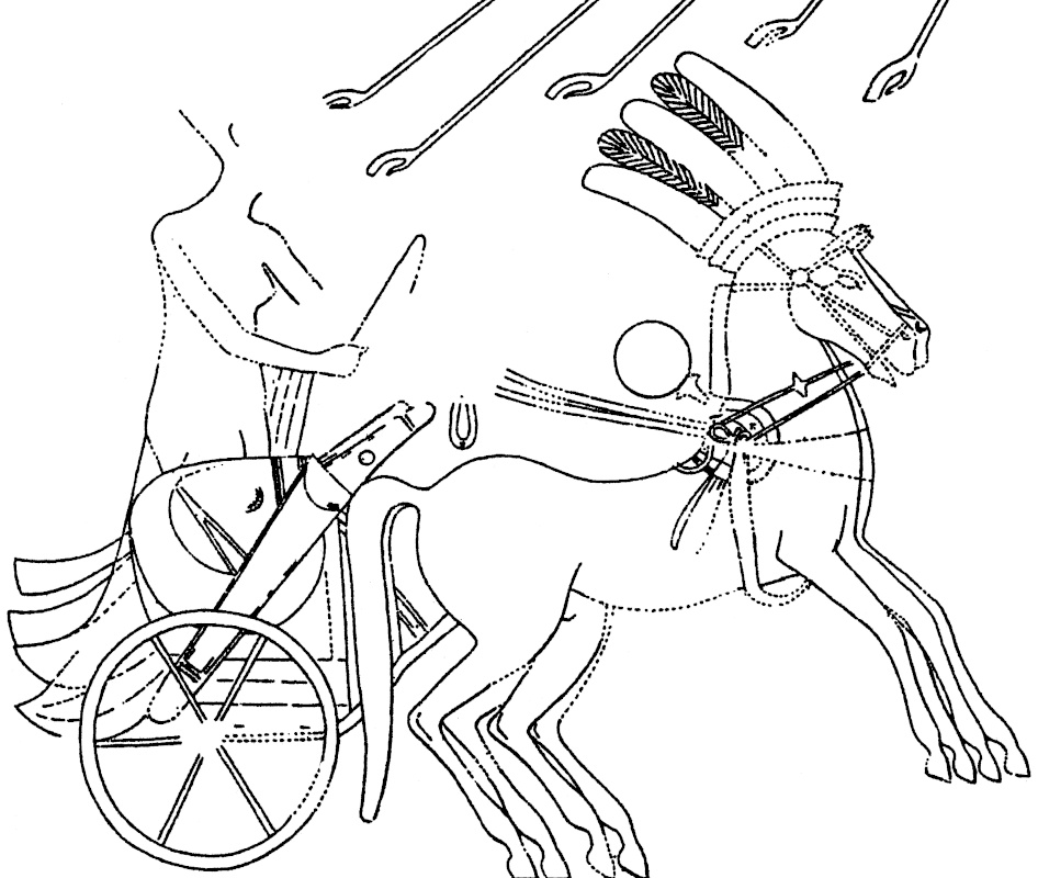 Nefertiti alone on her chariot (tomb of Merira I at Amarna, Dynasty 18; after Davies, N., The Rock Tombs of El Amarna Part I. The Tomb of Meryra. London 1903, pl. 17).