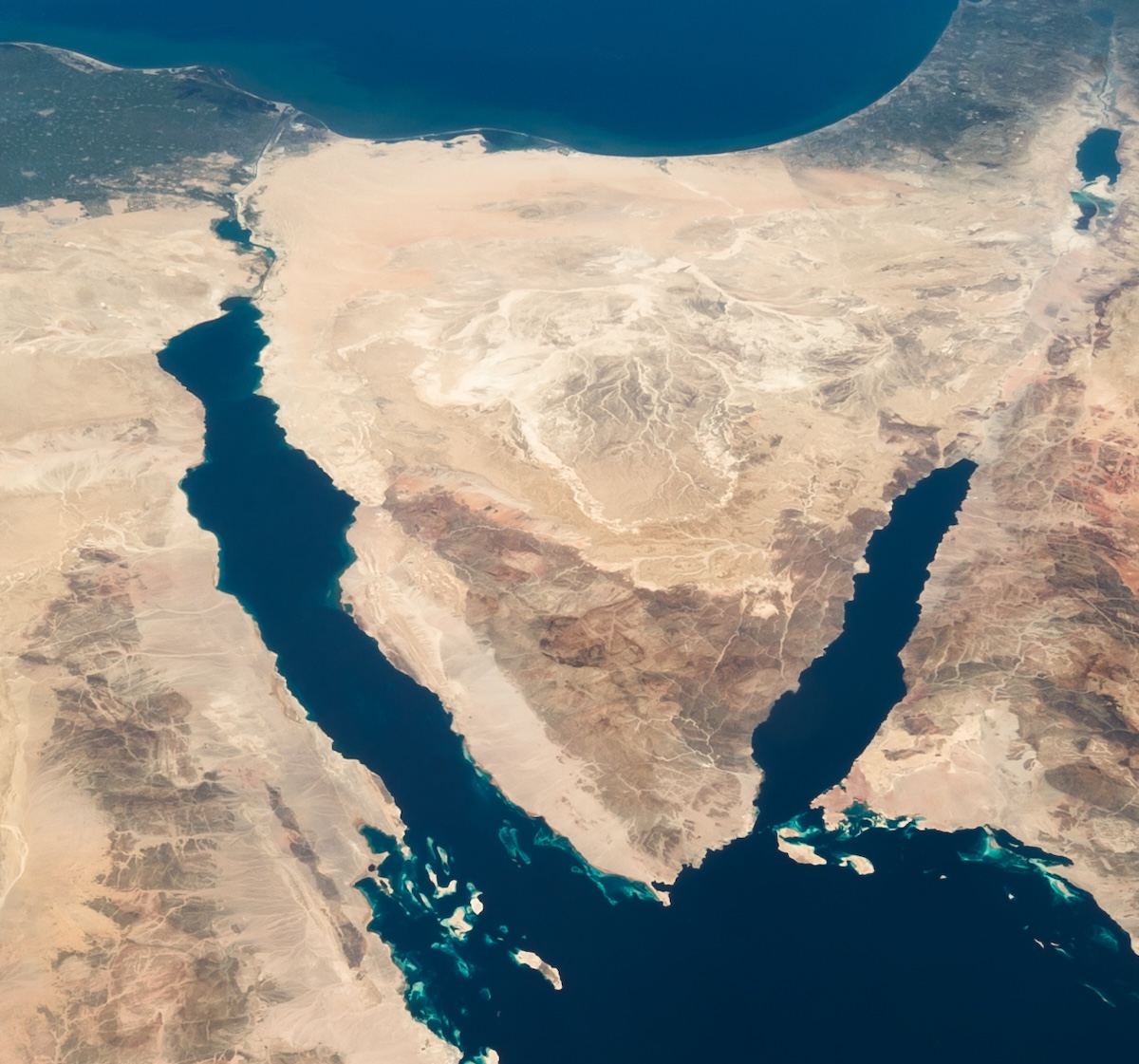 The Sinai Peninsula photographed from the International Space Station, March 20, 2013. Public Domain.