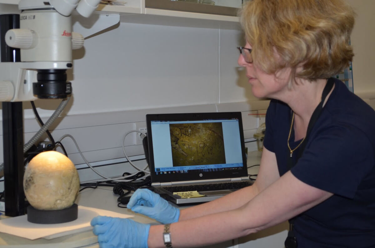 Dr. A. Fletcher examining an ostrich egg. Photo courtesy of the author.