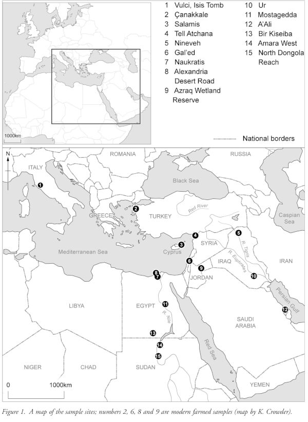 Map of sample sites with ostrich eggs. Drawn by K. Crowder.