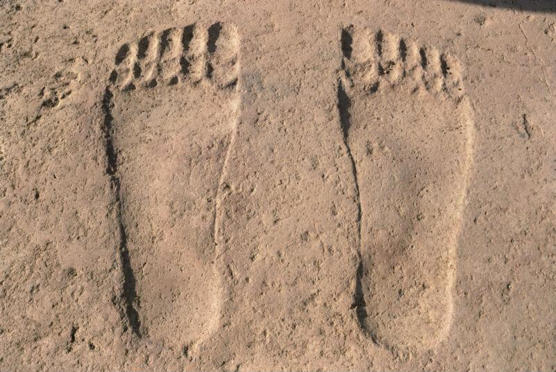 Footprints of a deity at the Iron Age temple of Ayn Dara. Frank Kidner photographs, Dumbarton Oaks, Trustees for Harvard University, Washington, DC.