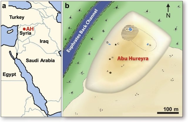 Location of Abu Hureyra in the Euphrates Valley. From Moore et al in Scientific Reports: doi.org/10.1038/s41598-020-60867-w