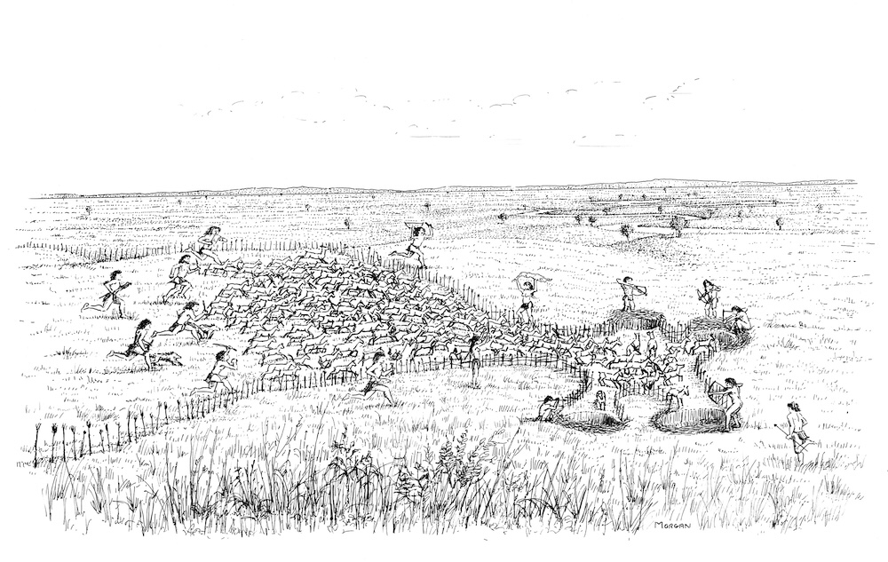 A gazelle hunt at Abu Hureyra using an animal trap. Image courtesy of the author.