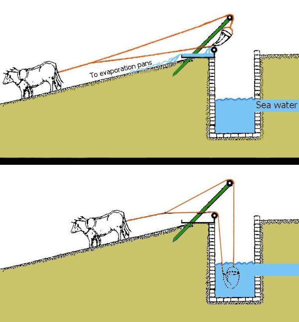 Schematic reconstruction of lifting sea-water from a shaft using animals going down a slope (modified after an unidentifiable source)