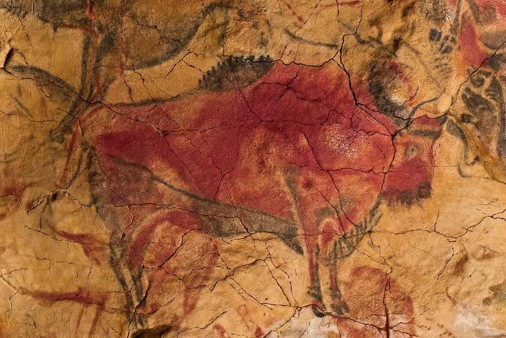 Bison on the ceiling of the cave of Altamira. Photo by Museo de Altamira and D. Rodríguez. CC By SA 3.0.