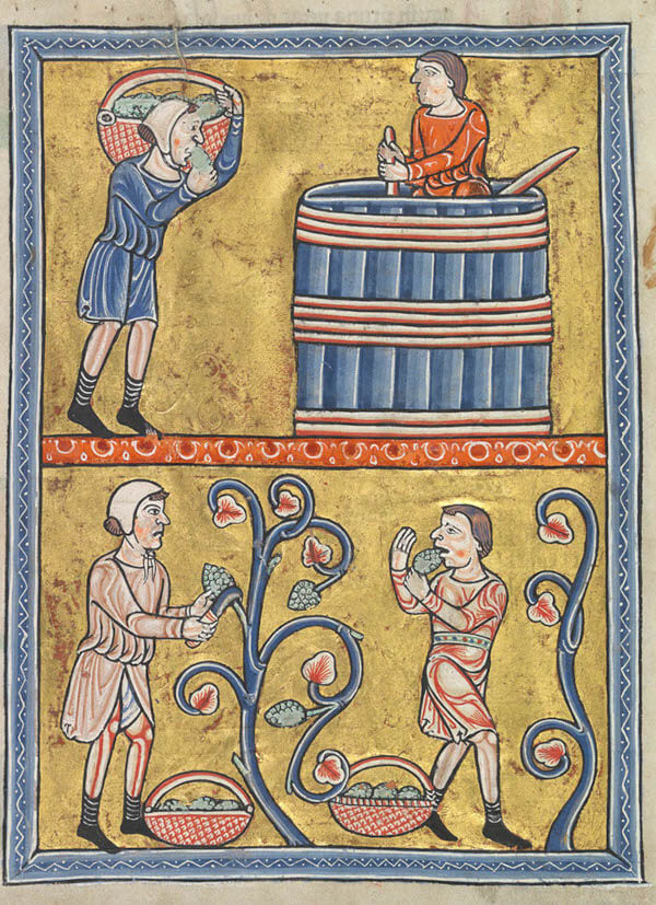 Wine pressing in a barrel (courtesy of The Hague Royal Library KW 76 F 13 fol. 009v).