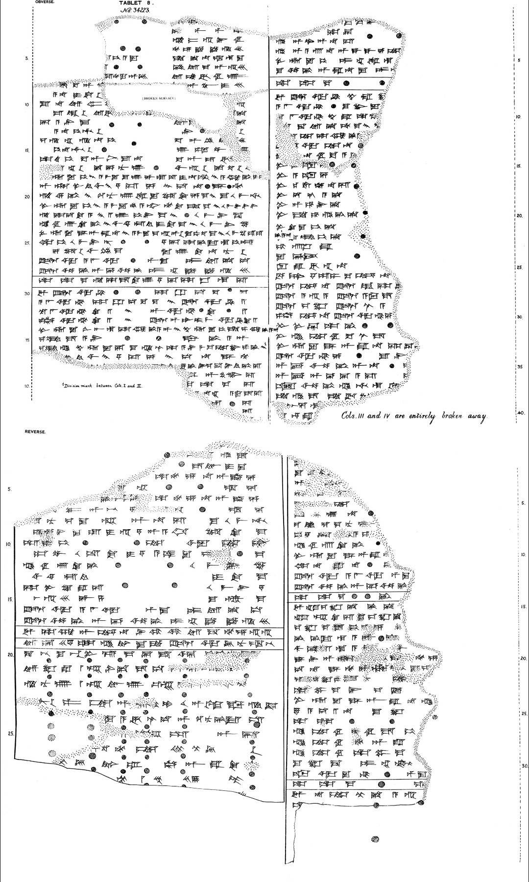 Tablet BM 34223+, witnessing the Compendium. Drawing from R. Campbell Thompson (1903) Cuneiform Texts, no. 17. Public Domain.