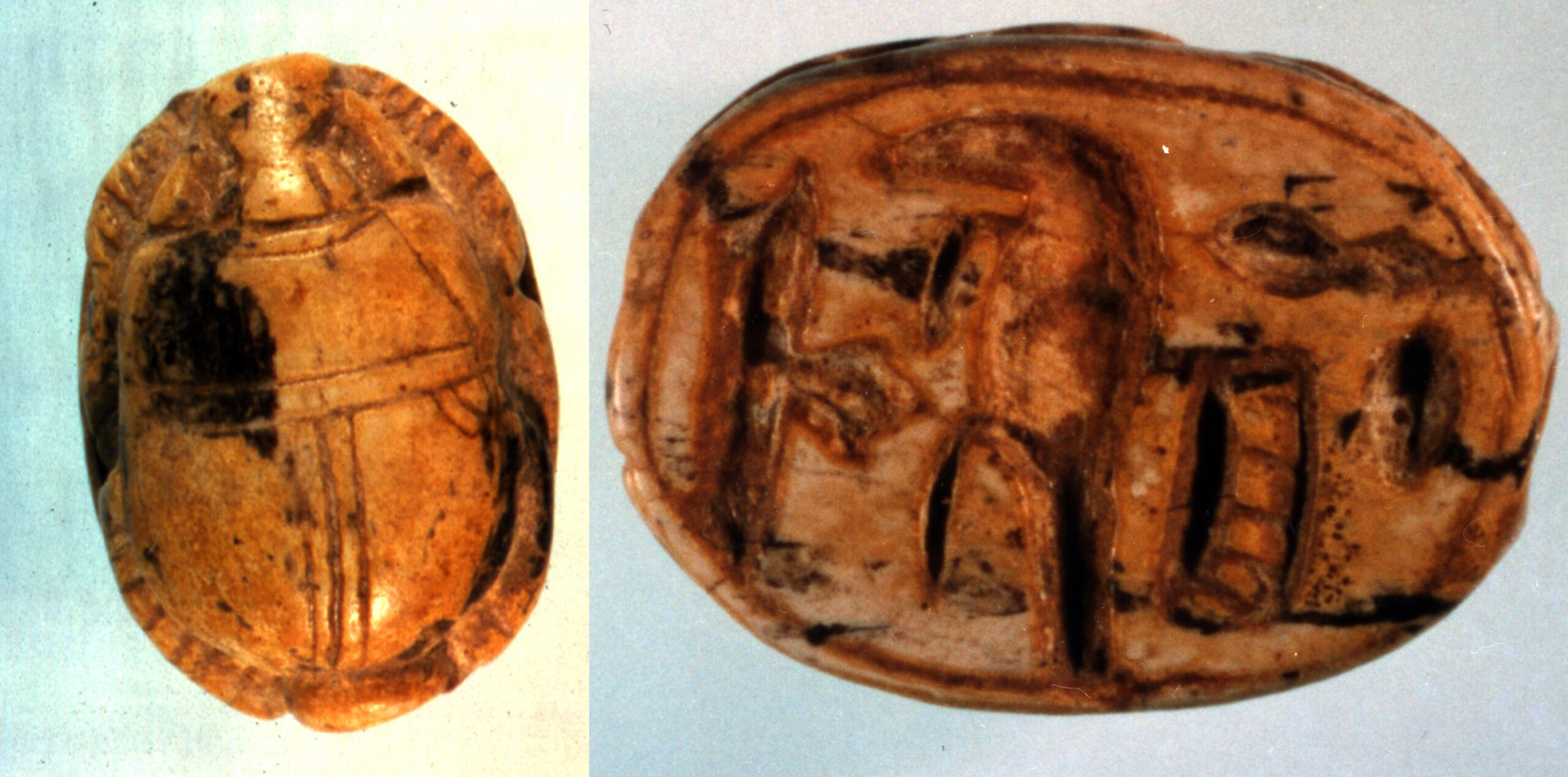 Scarab from Tarquinii. Photo courtesy of the author.