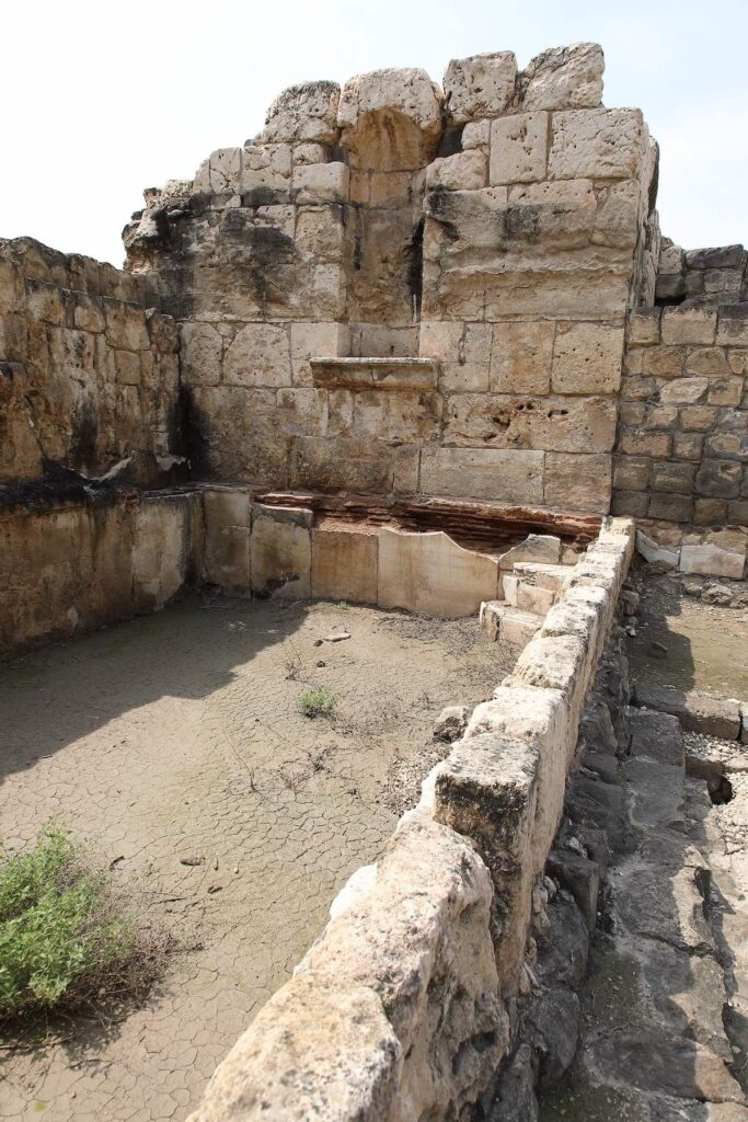 Fig. 8: The unheated pool in the Eastern Baths of Nysa-Scythopolis, with preserved marble lining, small access steps, and a wall with a niche where a statue was once exhibited (credit: Arleta Kowalewska).