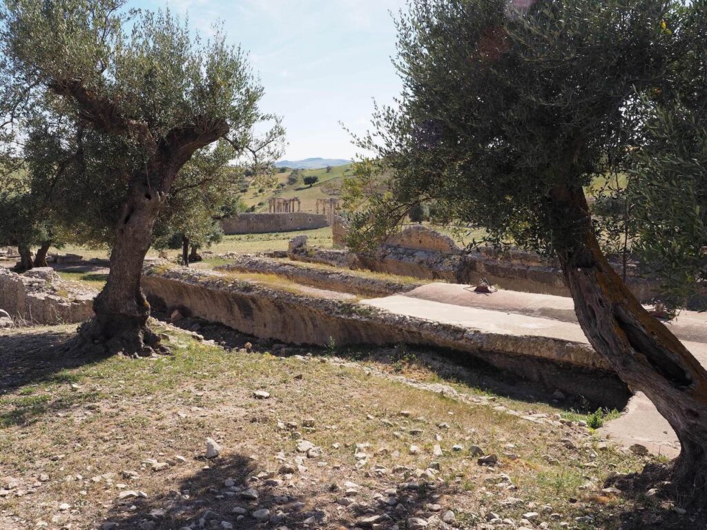 The Aïn El-Hammam Cisterns at Dougga. (Photo by John Whitehouse)