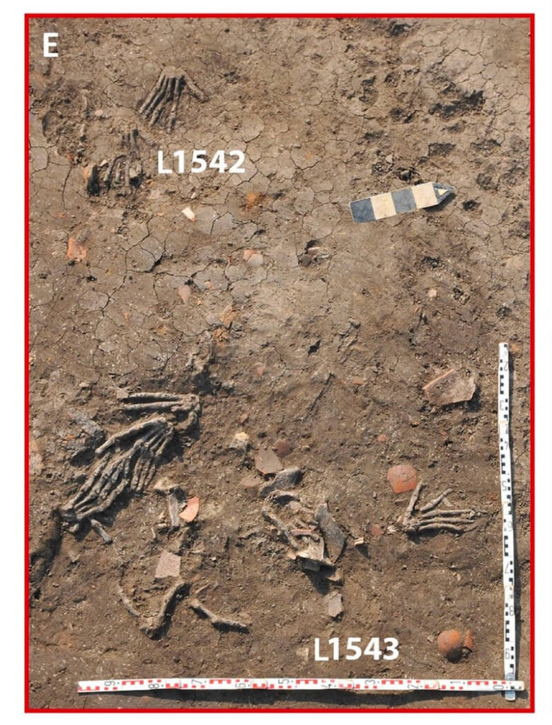 Overview of the 11 right hands in Pits L1542 and L1543. Image Credit: Gresky et al, doi: 10.1038/s41598-023-32165-8. CC BY 4.0 DEED.